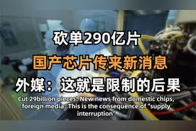 进口芯片砍单越来越多！从240亿到283亿，外媒：这次轮到美企了！视频封面