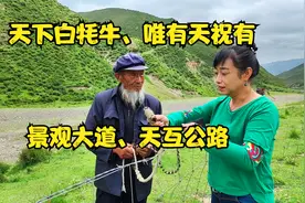 天下白牦牛、唯有天祝有，天互公路，景观大道！视频封面
