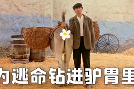 为了躲避敌人的追杀，男孩主动钻进驴的胃里，爆笑恶搞《教父》视频封面