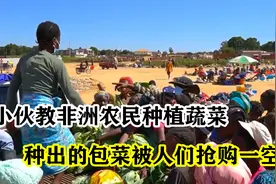 小伙教非洲农民种植蔬菜，种出来的包菜在非洲集市被争相抢购视频封面