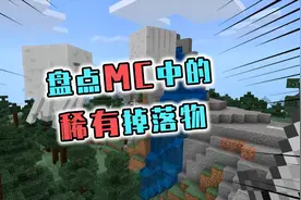 盘点MC稀有掉落物，恶魂之泪排名第三，萌新都没见过第1名