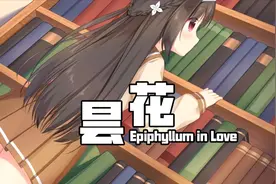 昙花 Galgame恋爱游戏03 以明信片的方式交流视频封面