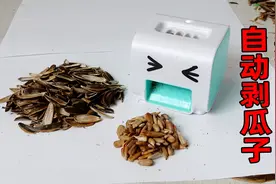 升级版79元剥瓜子机，据说是全自动的，小伙最后翻车了没？视频封面