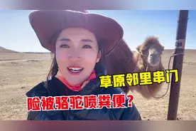 草原邻里串门有多远？内蒙姑娘骑骆驼走1小时，男人最好不要尝试视频封面