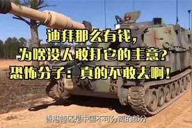 迪拜那么有钱，为啥没人敢打它的主意？恐怖分子：真的不敢去啊！视频封面