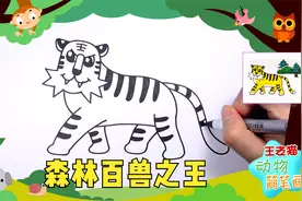 老虎简笔绘画教程，教你画森林百兽之王，王老猫动物认知简笔画视频封面