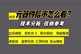 点评：立讯精密 京东方A 歌尔股份 领益智造 蓝思科技 东山精密视频封面