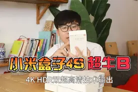 小伙民宿采购10款小米4s盒子，智障机秒变智能语音投屏机，超牛B
