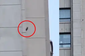 破案！沈阳一小区每天凌晨响起噪音，想不到“嫌疑人”居然是它视频封面