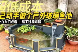 超低成本自己动手做个户外玻璃鱼池##小院改造 #庭院设计视频封面