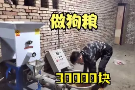 花30000买的狗粮机子，第一次做狗粮，能一次成功吗？视频封面