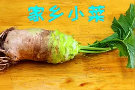 四川人记忆中大大头菜，先腌制再裹上辣椒花椒，那香味真叫不一般视频封面