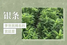 李世民赐名的宫廷菜——银条