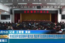 丰台区召开全区领导干部大会视频封面