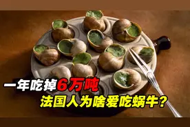 一年吃掉6万吨！为何法国人那么爱吃蜗牛，中国人却碰都不碰？视频封面