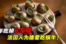 一年吃掉6万吨！为何法国人那么爱吃蜗牛，中国人却碰都不碰？视频封面