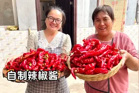 摘一些红辣椒，在家自制辣椒酱，夹馍拌面都好吃！