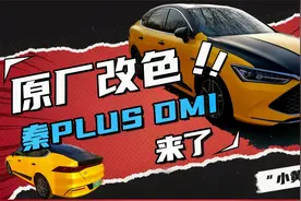 比亚迪秦PLUS DMI原厂改色“小黄蜂”超简单分享@超棒发声视频封面