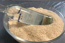 大米长虫不用愁，米店老板告诉我1个小诀窍，1分钟米虫全跑光视频封面