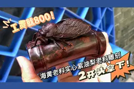 海南黄花梨竹节知了，料好工好，上手质感一流，不错的手把件视频封面