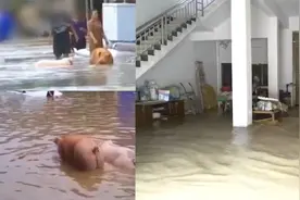 湖北荆门遭暴雨袭击路面成河 家具牲畜被冲走 已救援转移被困群众视频封面