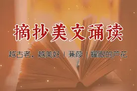 摘抄 | 《越古老,越美好》《蒹葭》《耀眼的芦花》（8年级）视频封面