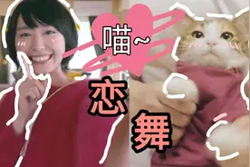 敲可爱猫咪跳"恋舞"~我也要做你的老婆喵~| 喵舞 |