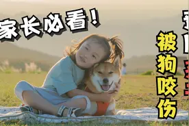 家长必看！预防孩子被狗咬伤 这些知识必须知道！