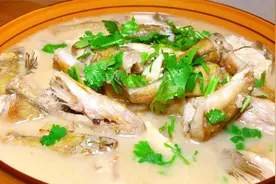 教你做美食油光鱼炖豆腐，肉质鲜嫩汤鲜味美，豆腐滑爽入味