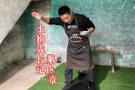 自己养的狗叫不回来，叫它理都不理，十年训犬师一招教你搞定视频封面