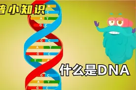 科普小知识：什么是DNA