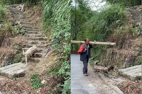 狗狗帮主人背木头上山！爬坡半路还会等主人，狗：家里没我早垮了视频封面