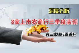 深度分析8家上市农商行，投资者应避开谁？数据表明有三家需避开视频封面