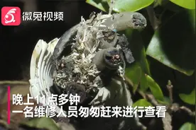 贵阳男子河边休息，却遭遇电击！钥匙都断成两截视频封面