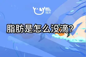 你知道脂肪是怎么从我们身体中消失的吗？视频封面