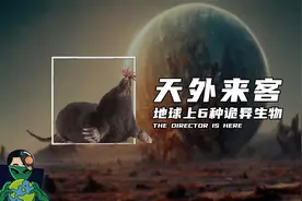 天外来客，地球上6种诡异生物视频封面