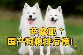 萨摩耶国产狗粮排行榜，有你在喂的吗？视频封面