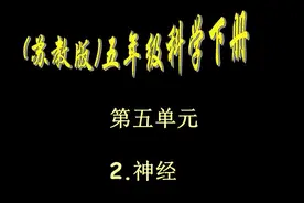 小学科学苏教2001课标版五年级下册五单元 神经_视频课件视频封面