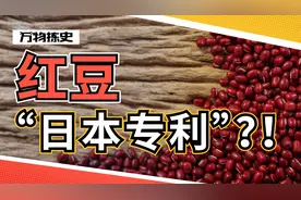 红豆食品是日本人发明的？我第一个不服