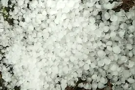 “今年庄稼完了”云南泸西4村子遭冰雹狂风袭击，千亩烟叶等遭殃