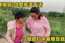 婆媳冒38度高温干活，倔媳妇中暑难受的直吐，婆婆担心搀扶回家视频封面