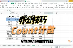 Excel表格中如何使用count函数进行计数统计，你会吗