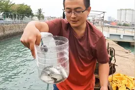 抓鱼还得看“高科技与狠活”，比渔民下网还快，1笼10几条太好玩视频封面