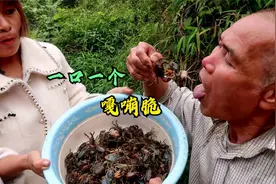 溪里的螃蟹现抓现吃，大爷：好吃是好吃，就是有点夹嘴视频封面