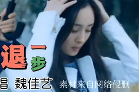 魏佳艺一首超火的《九十九步退一步》，歌声动听伤感，歌词入心。视频封面