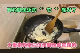 野钓‘’黄豆粉’＋野战蓝鲫开饵，大量植物蛋白诱惑鲫鱼疯狂咬钩视频封面