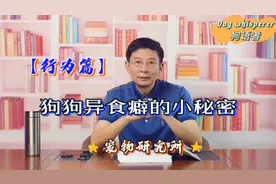 狗狗的异食行为有哪些你知道吗？最后教你一招解决狗狗异食癖