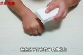 被大黑花蚊子咬了，起的包又痒又痛，教你一招，涂上就不痒