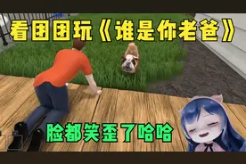 看团团玩《谁是你老爸》，头都要笑掉了哈哈哈