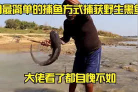 用鸡肝捕获野生黑鱼，原来用这种方法是最简单有效的，值得推荐视频封面